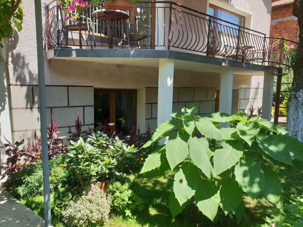 Kyurkchievi Guest House Sapareva Banja Eksteriør bilde